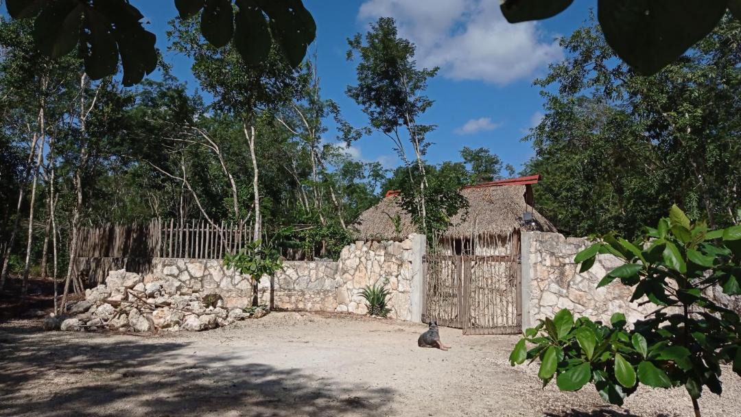 Photo of Others in Tulum