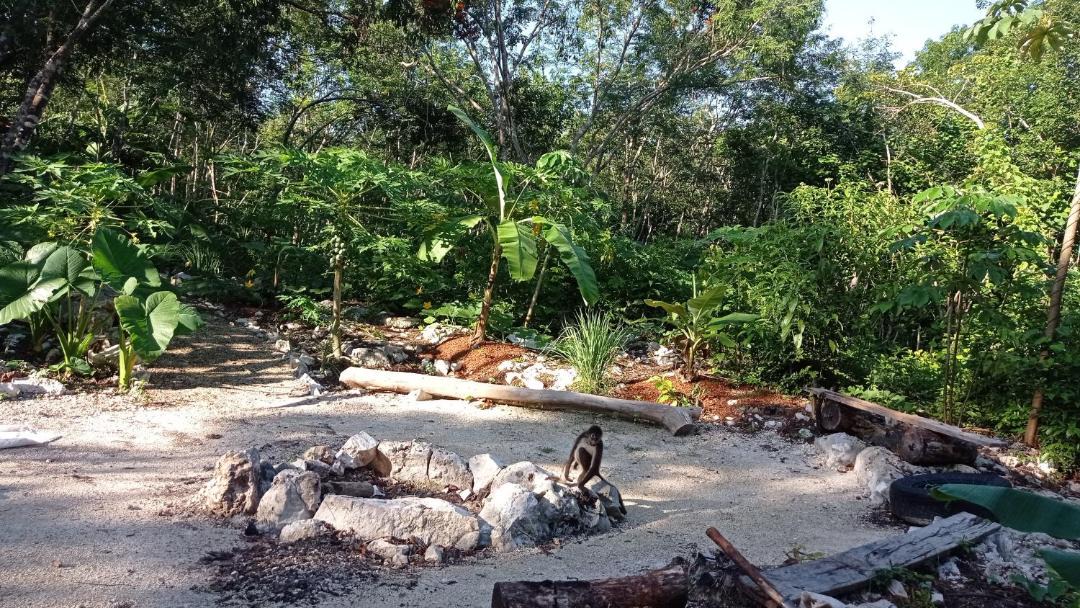 Photo of Others in Tulum