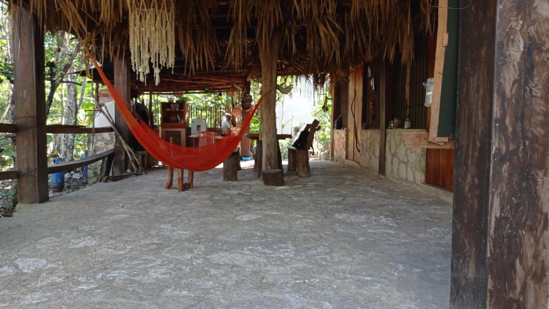 Photo of Others in Tulum