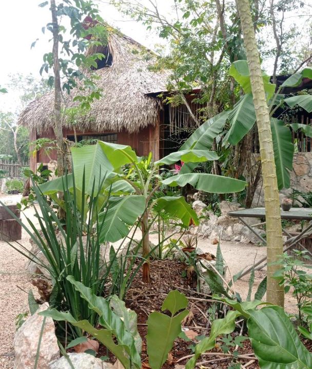 Photo of Others in Tulum
