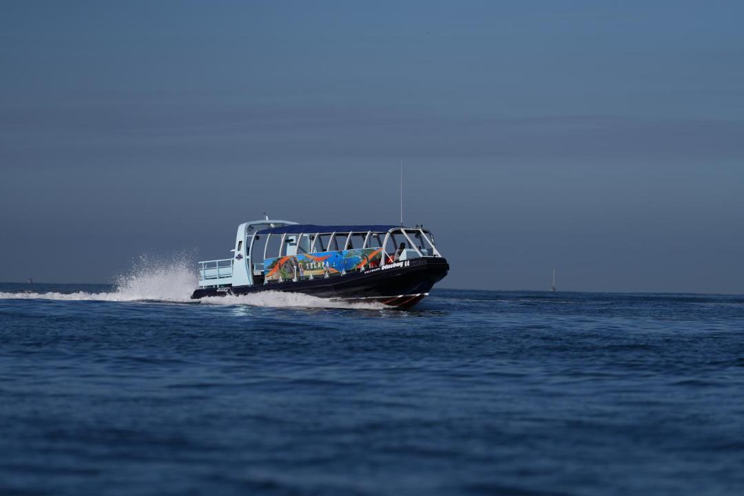 Photo of Others in North Hotel Zone