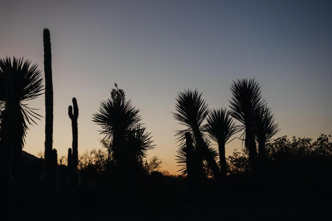 Photo of Others in Parras de la Fuente