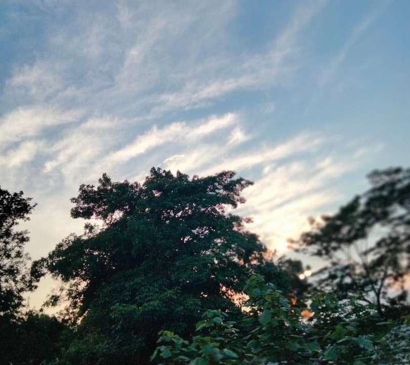 Photo of Outdoor in Tlacojalpan