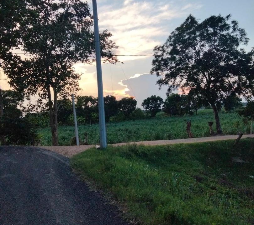 Photo of Others in Tlacojalpan