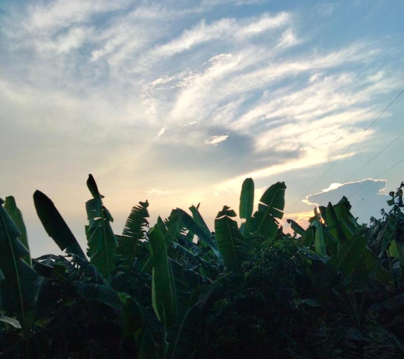 Photo of Outdoor in Tlacojalpan