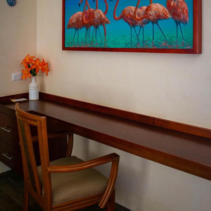 Photo of Others in Sisal