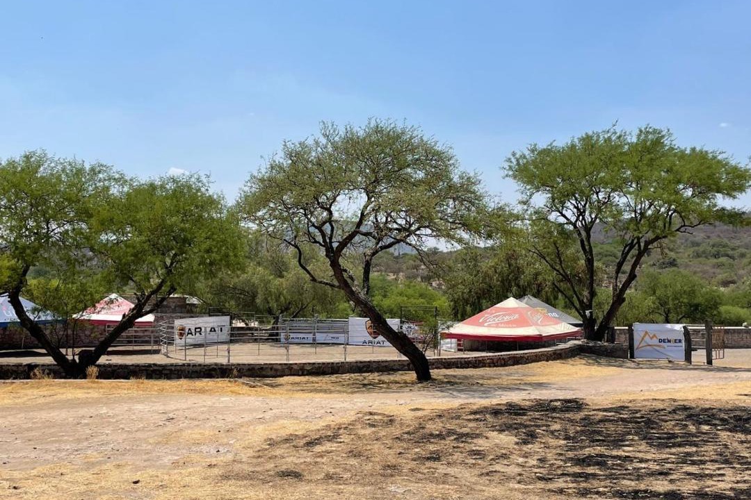 Photo of Others in Lagos de Moreno