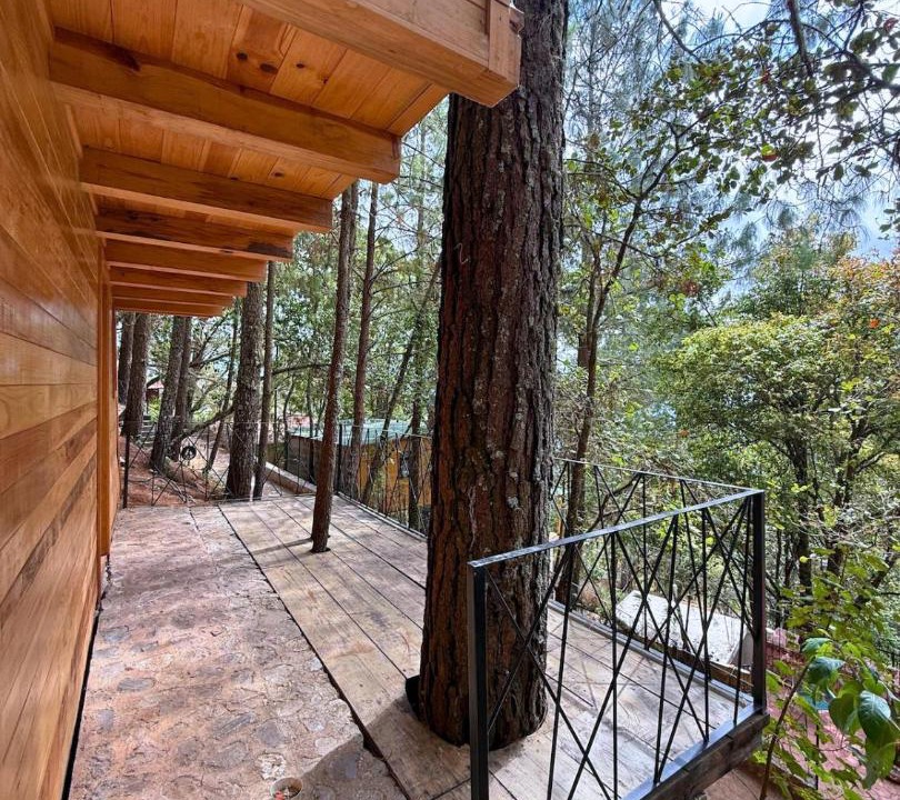 Photo of Others in San Jose del Pacifico