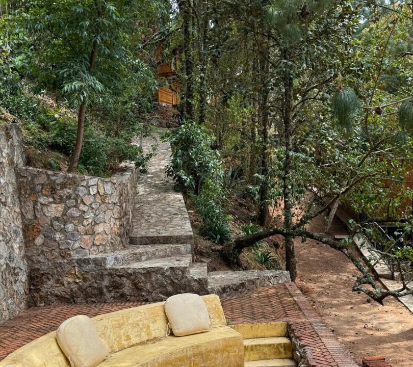 Photo of Others in San Jose del Pacifico