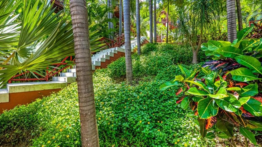 Photo of Others in North End