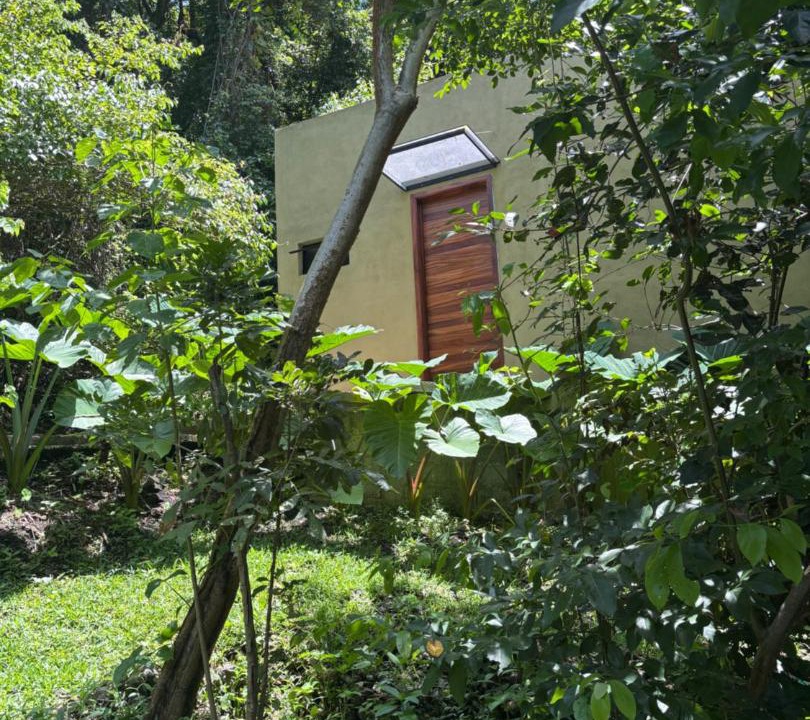 Photo of Others in Gomez Farias