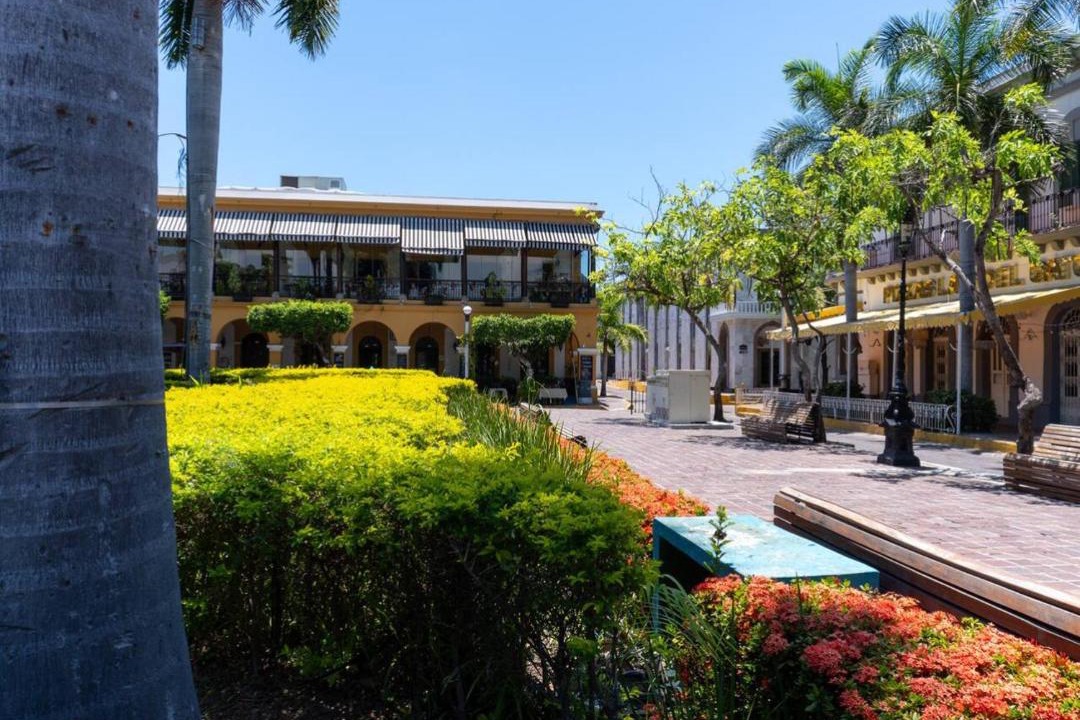 Photo of Others in Downtown Mazatlan