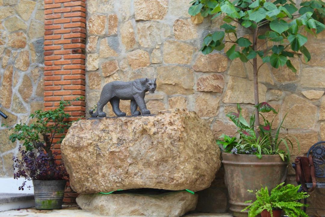 Photo of Others in Tuxtla Gutierrez