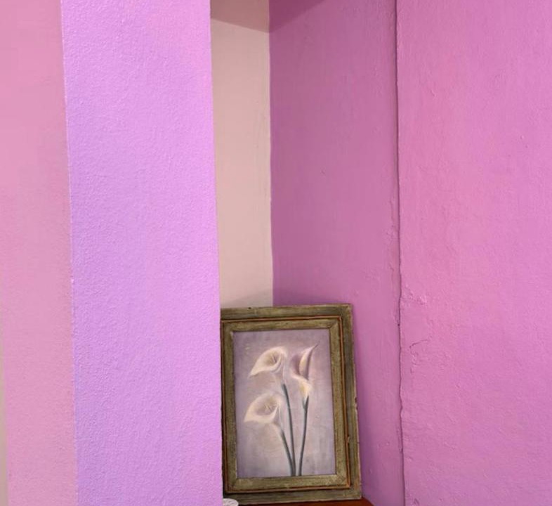 Photo of Others in Oaxaca