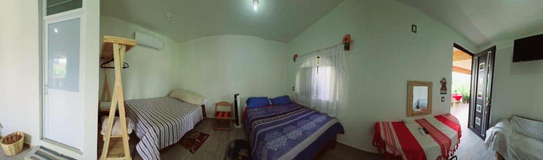 Photo of Others in Oaxaca