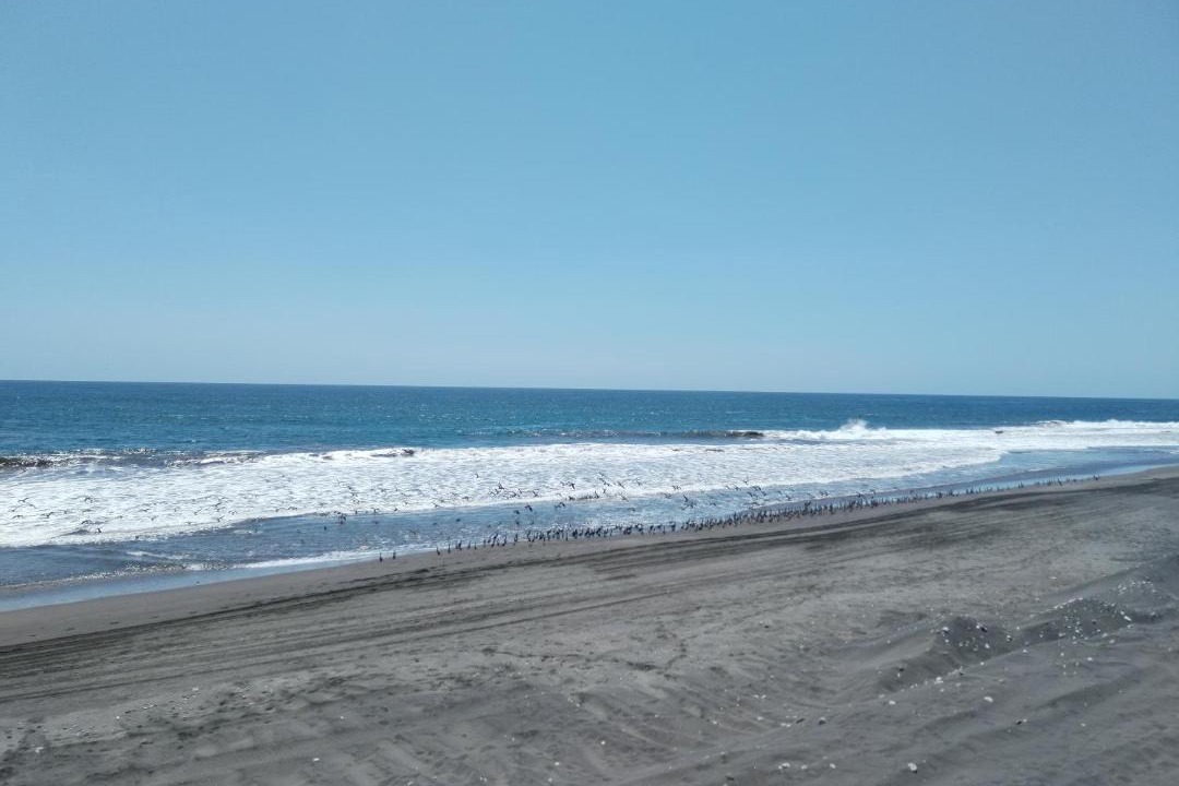 Photo of Others in Armeria