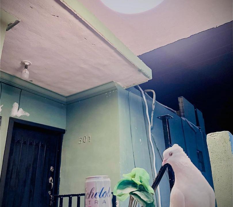 Photo of Others in Ciudad Acuna