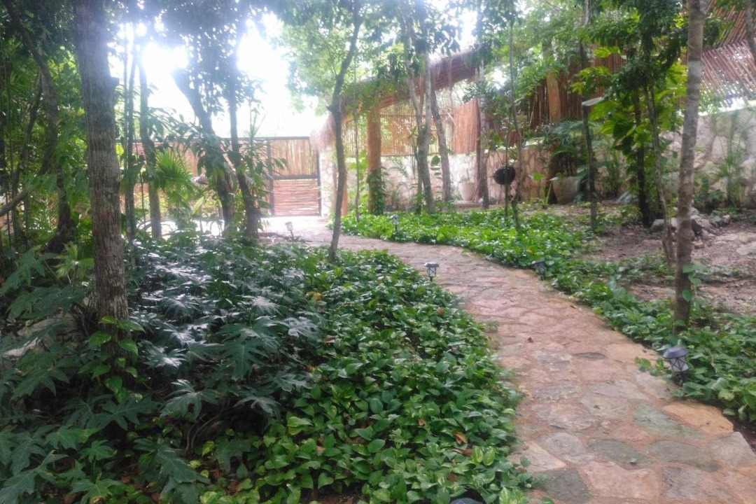 Photo of Outdoor in Francisco Uh May