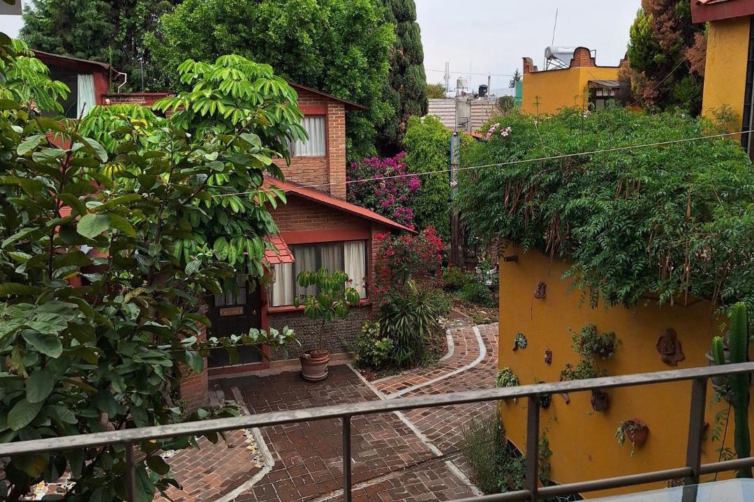 Photo of Others in Cholula