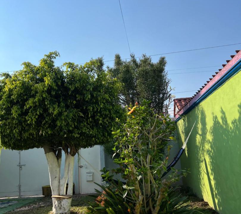 Photo of Others in Atlixco