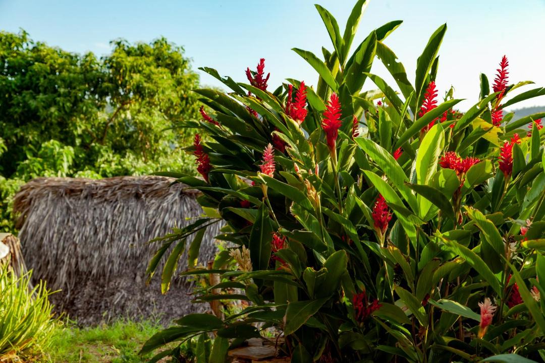 Photo of Outdoor in Mazunte