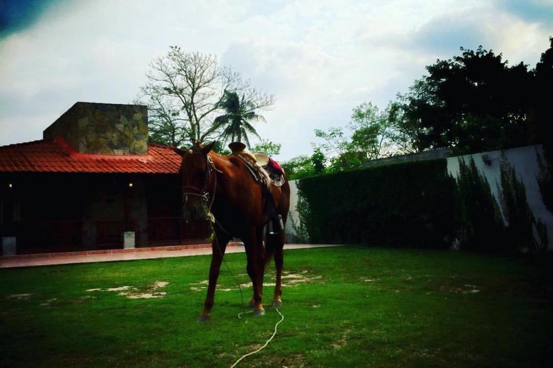 Photo of Others in Comalcalco
