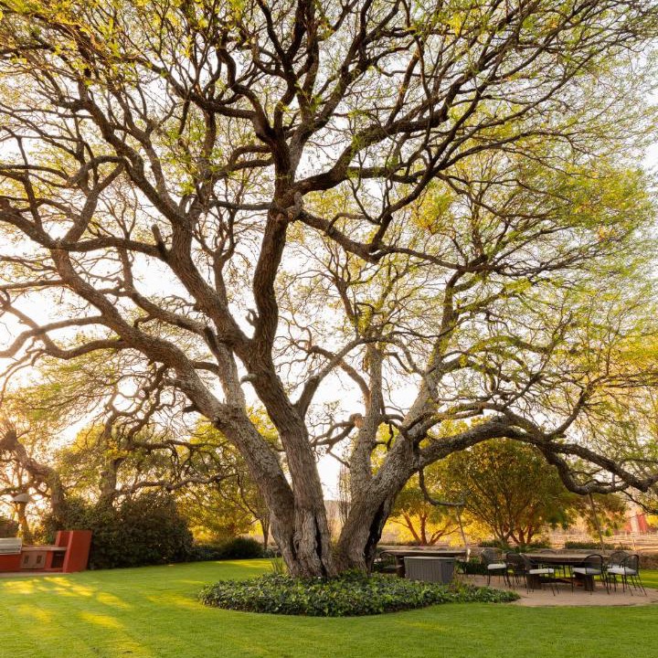 Photo of Outdoor in El Marques