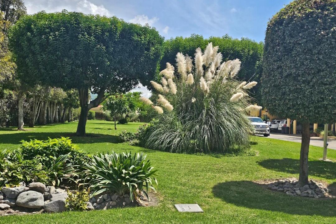 Photo of Outdoor in Los Sabinos