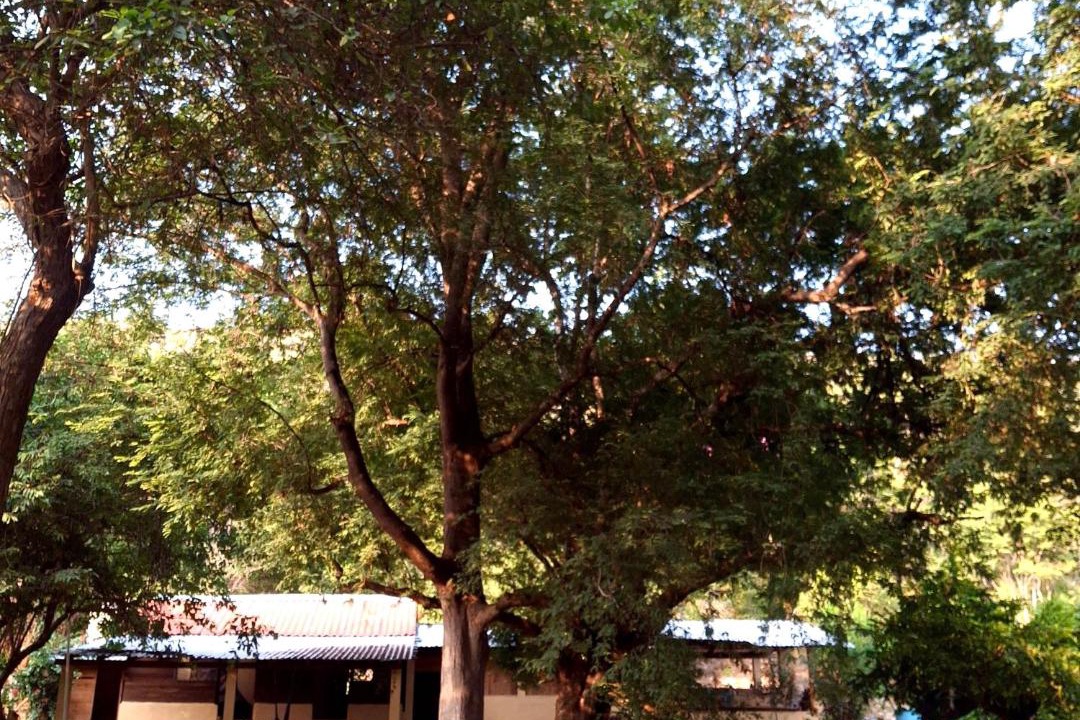 Photo of Others in San Pedro Huamelula