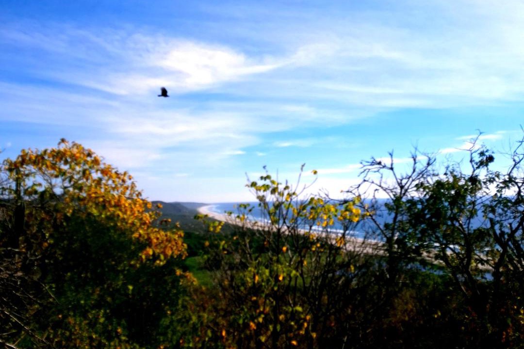 Photo of Others in San Pedro Huamelula