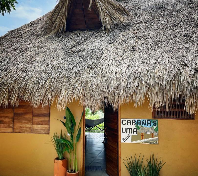 Photo of Others in San Agustinillo