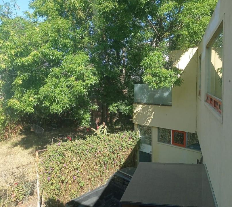 Photo of Others in Morelia