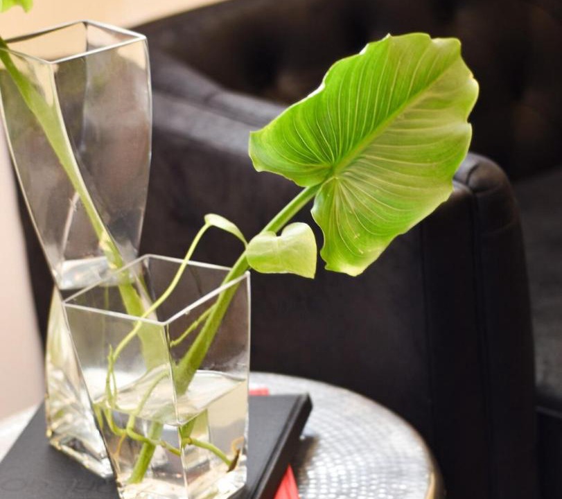 Photo of Others in Playas De Tijuana