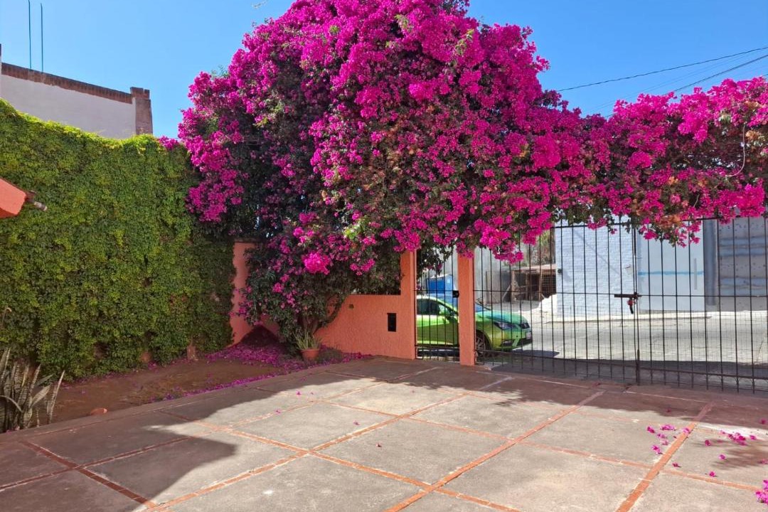 Photo of Others in Morelia