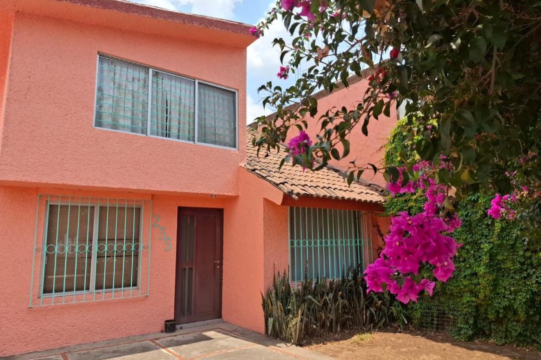 Photo of Others in Morelia