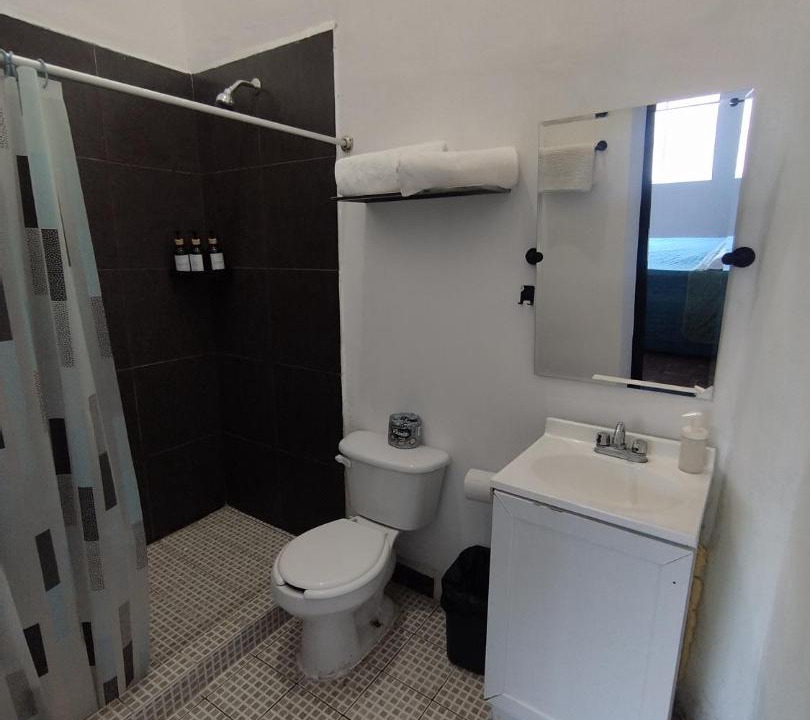 Photo of Bathroom in Monterrey Centro