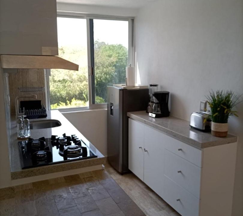 Photo of Kitchen in Dario Galeana