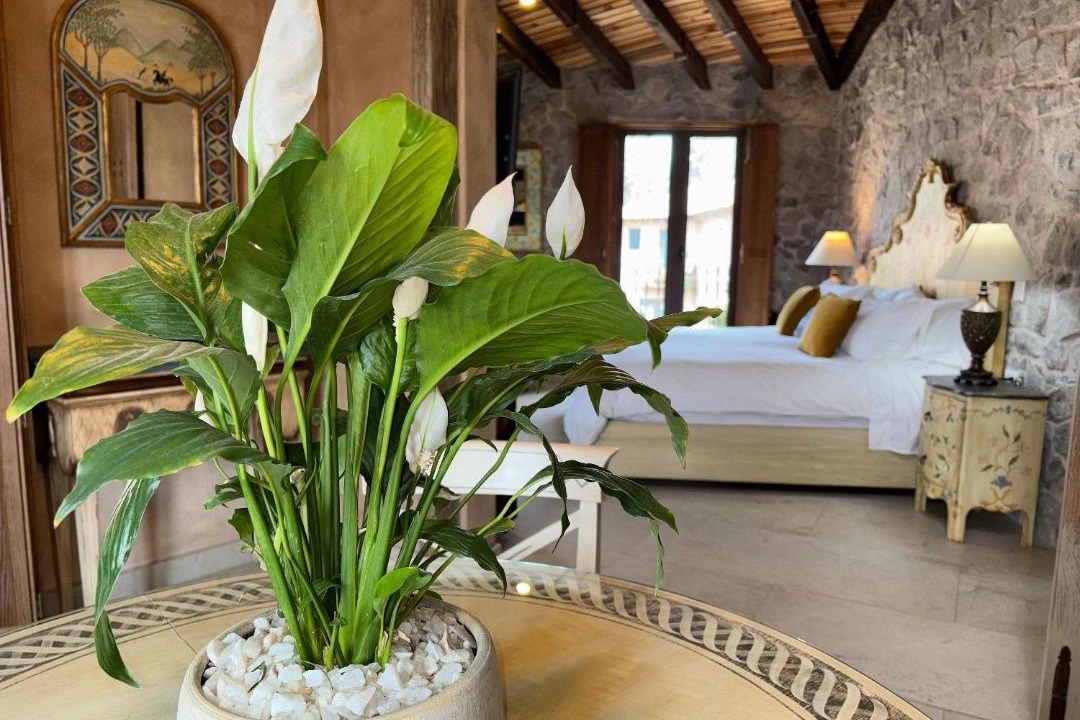 Photo of Others in Santeagueda