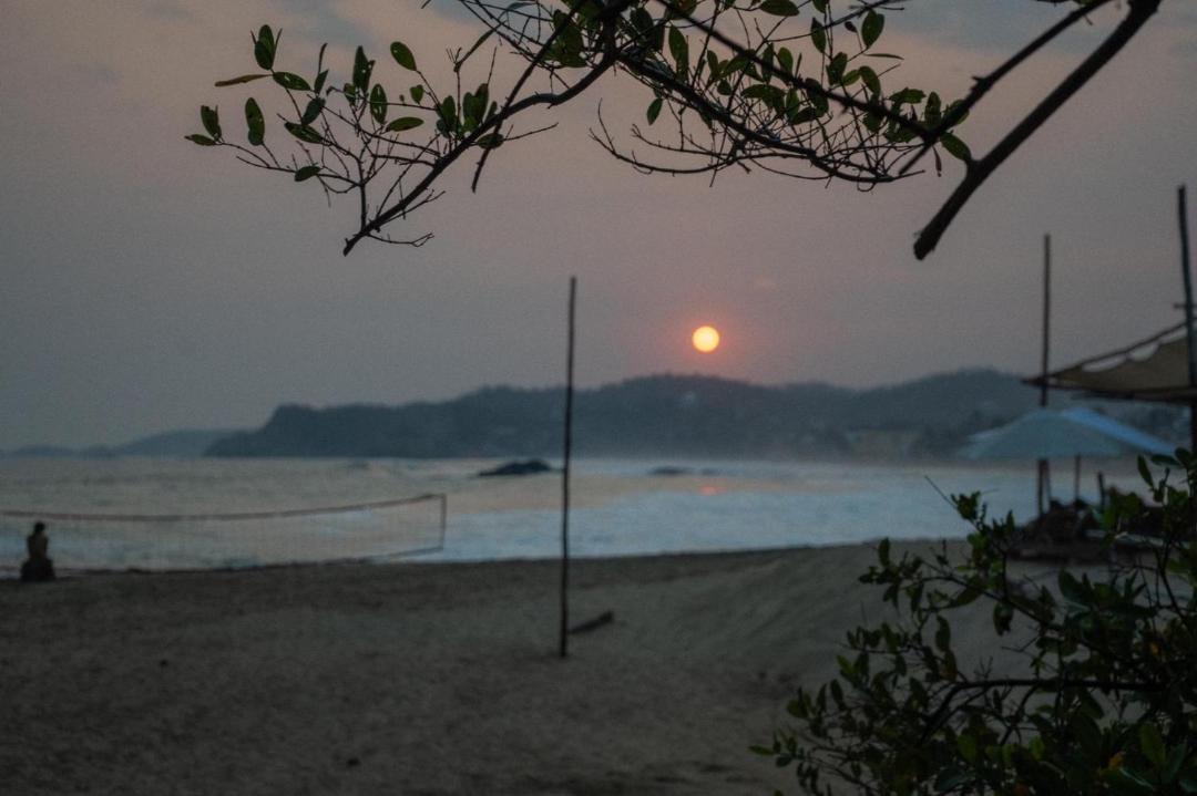 Photo of Others in Mazunte