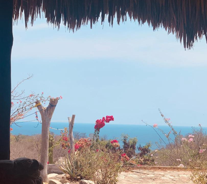 Photo of Others in Mazunte