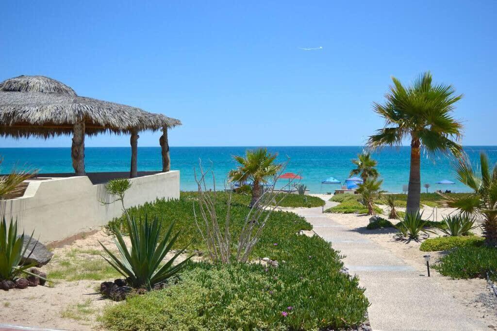 Photo of Others in Puerto Penasco