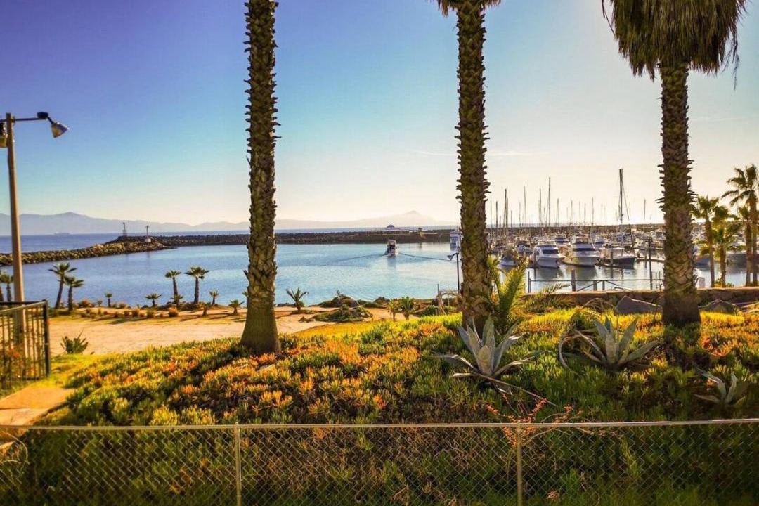 Photo of Others in Ensenada