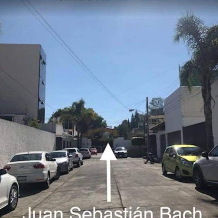 Photo of Others in Morelia