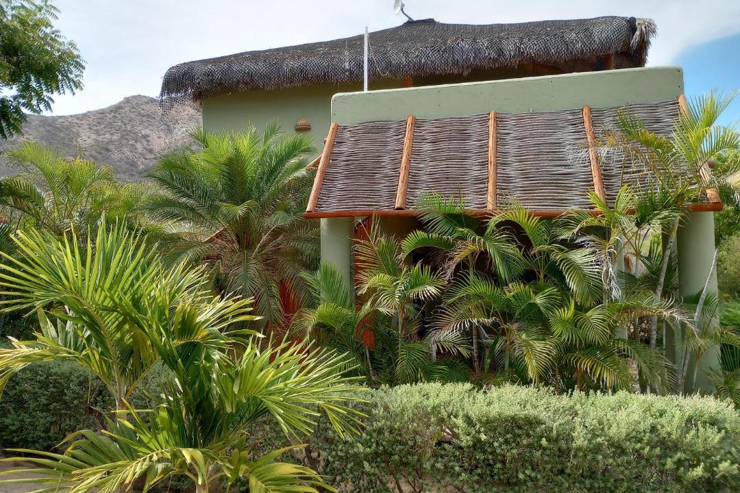 Photo of Others in Cabo Pulmo