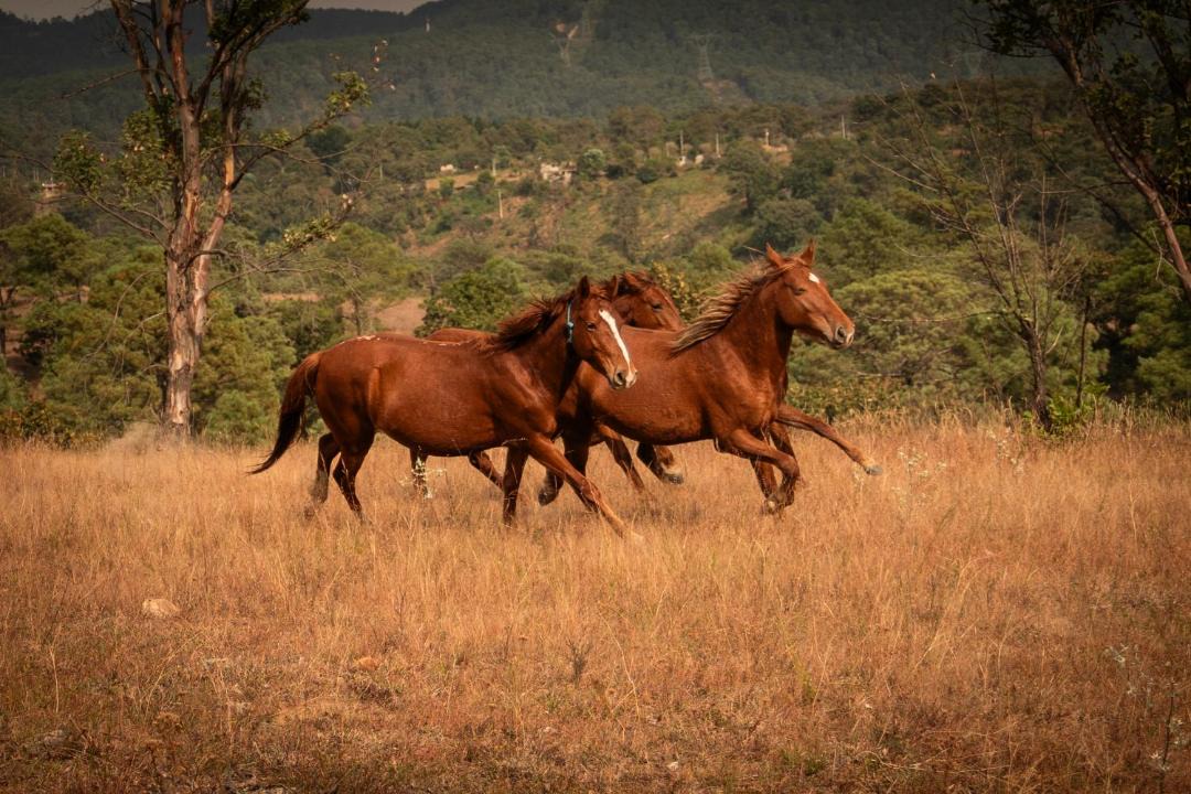 Photo of Others in El Santuario