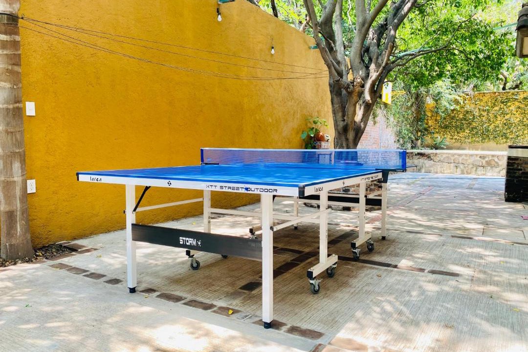 Photo of Outdoor in Palmira