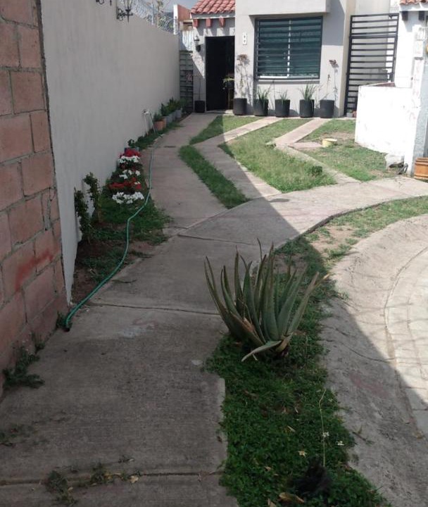 Photo of Others in Tlajomulco de Zuniga