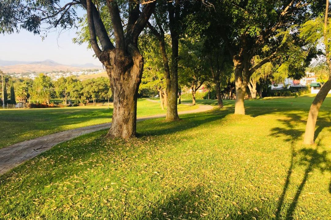 Photo of Outdoor in Lomas de Cocoyoc