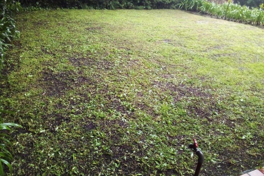 Photo of Outdoor in Huitzilac