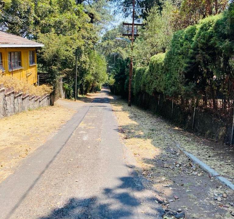 Photo of Outdoor in Huitzilac